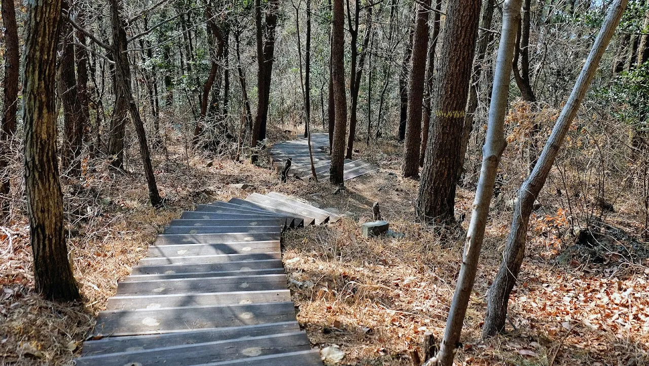 통영 미륵산   미륵지맥 과 바다백리길 종주