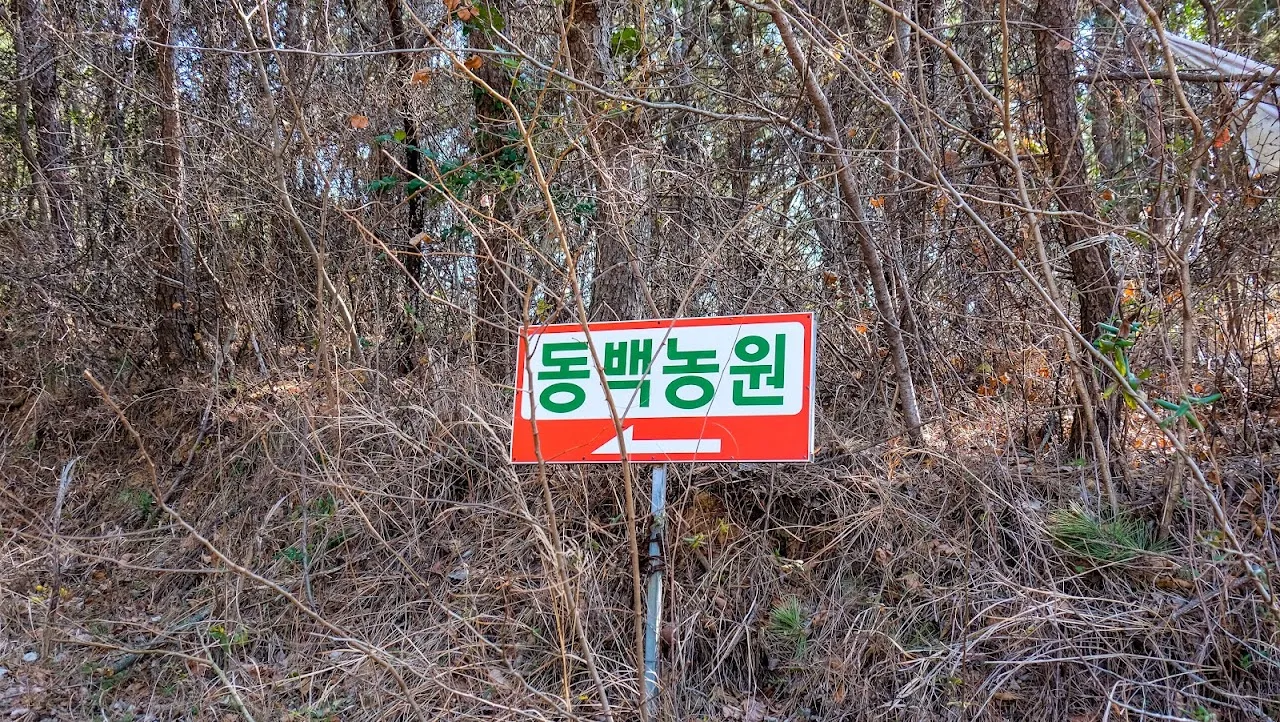 통영 미륵산   미륵지맥 과 바다백리길 종주