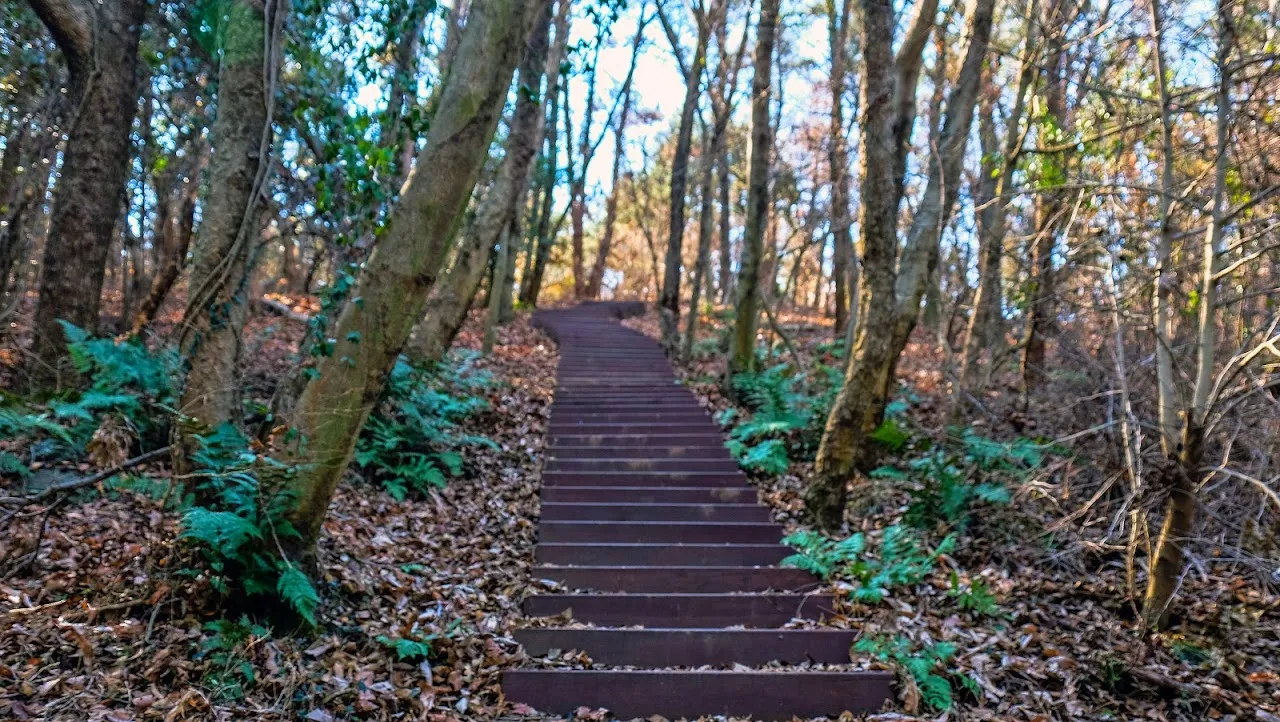통영 미륵산   미륵지맥 과 바다백리길 종주