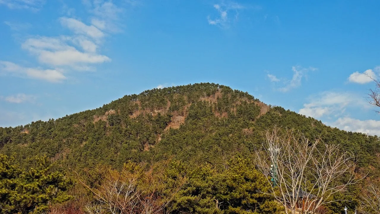 통영 미륵산   미륵지맥 과 바다백리길 종주