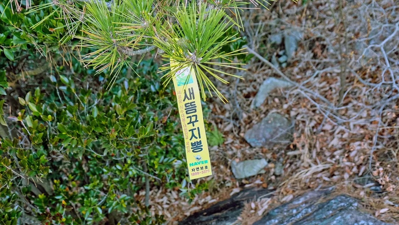 통영 미륵산   미륵지맥 과 바다백리길 종주