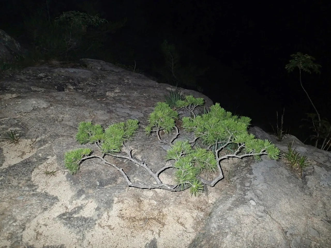 경주 남산