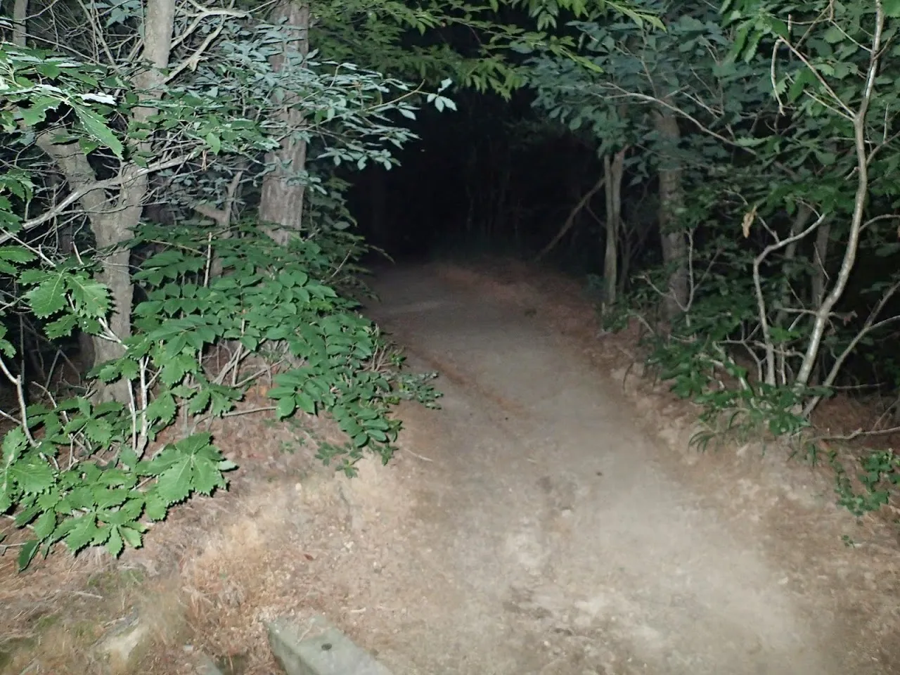 경주 남산