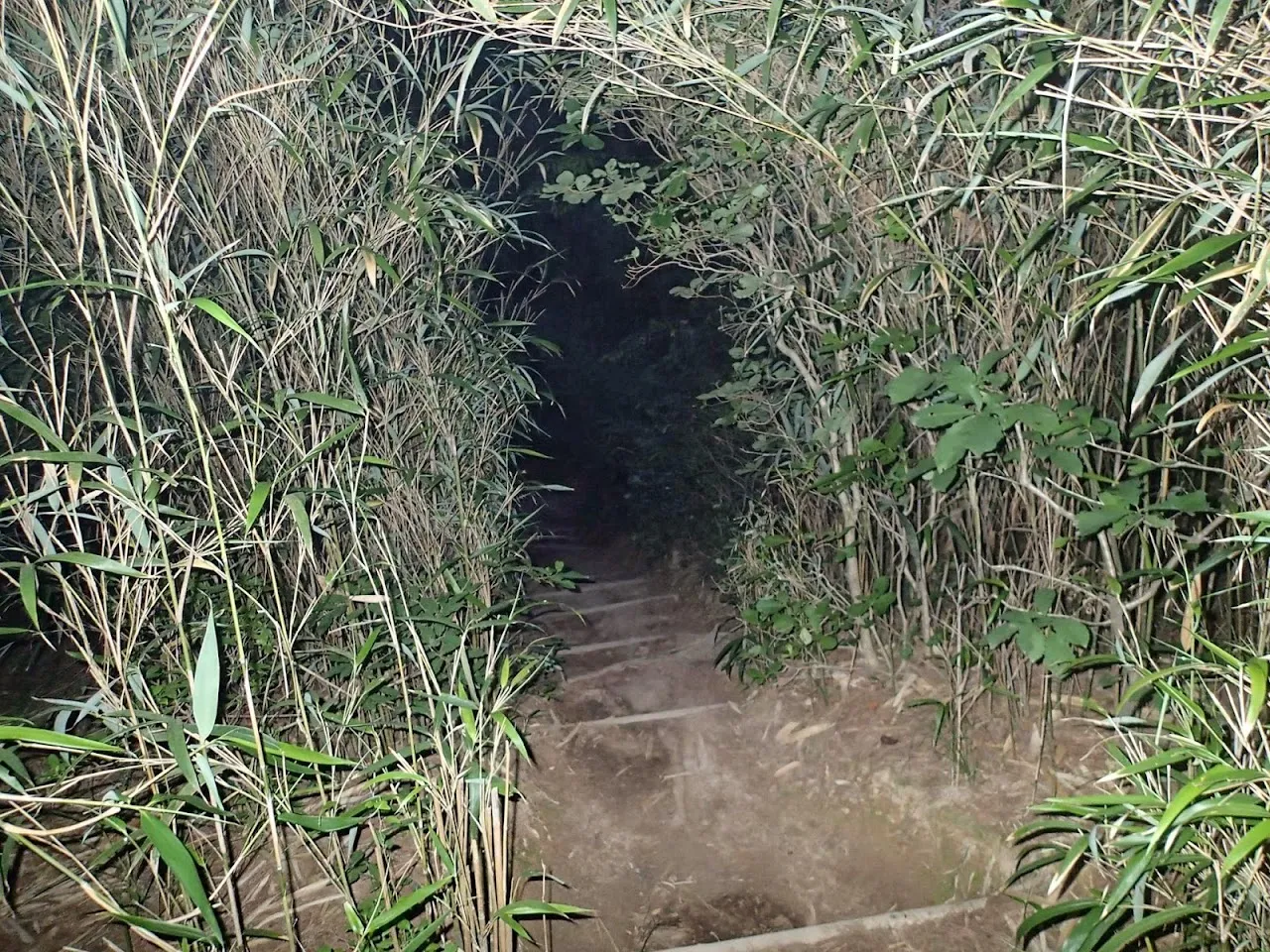 경주 남산