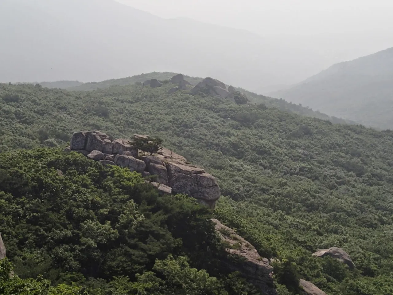 금정산