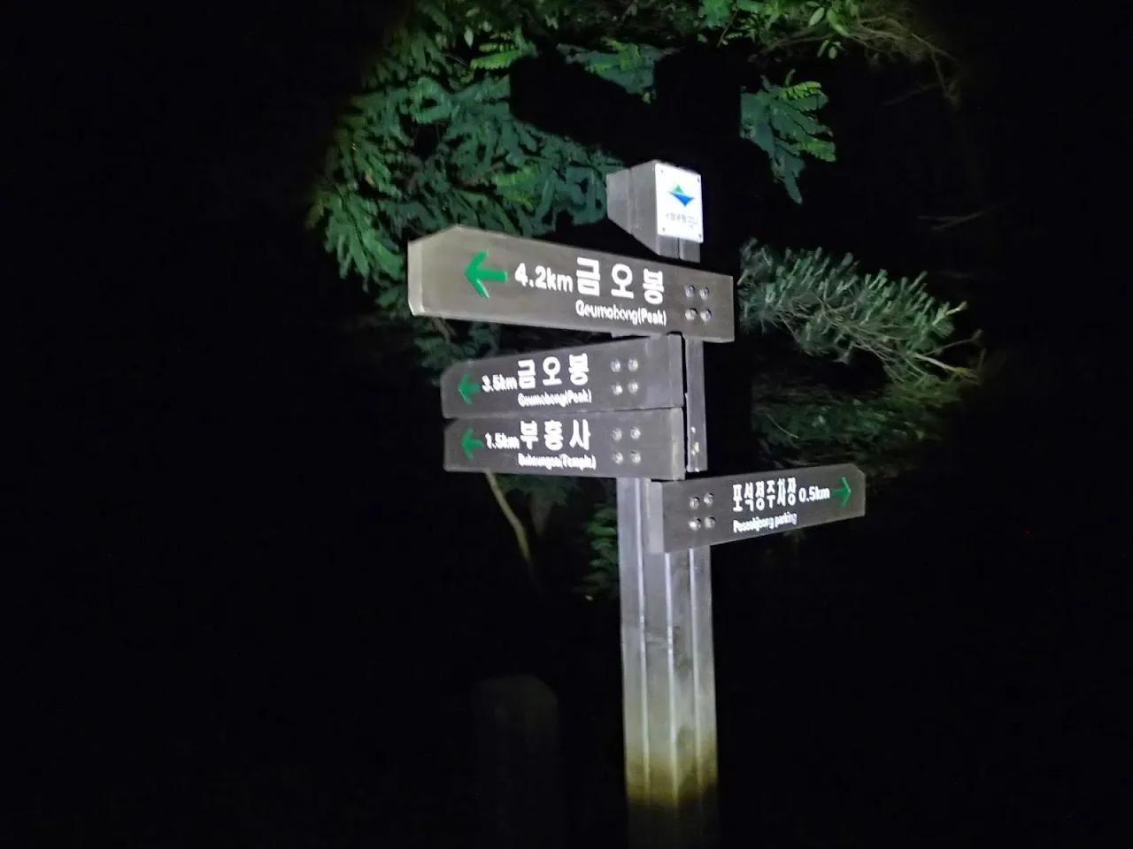 경주 남산