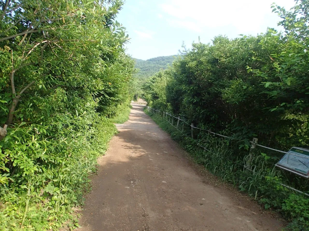 금정산