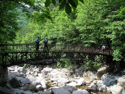 지리산 뱀사골계곡코스 사용자 사진 4