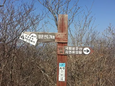 가지산 석남사코스 사용자 사진 5
