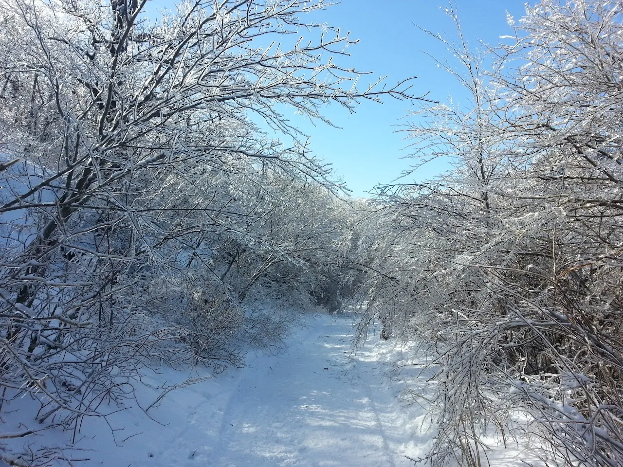 울주군 가지산 20160201