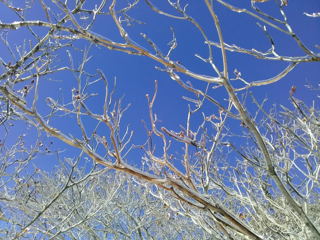 울주군 가지산 20160201