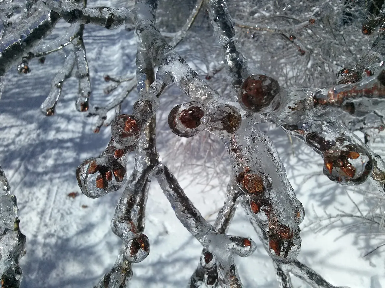울주군 가지산 20160201