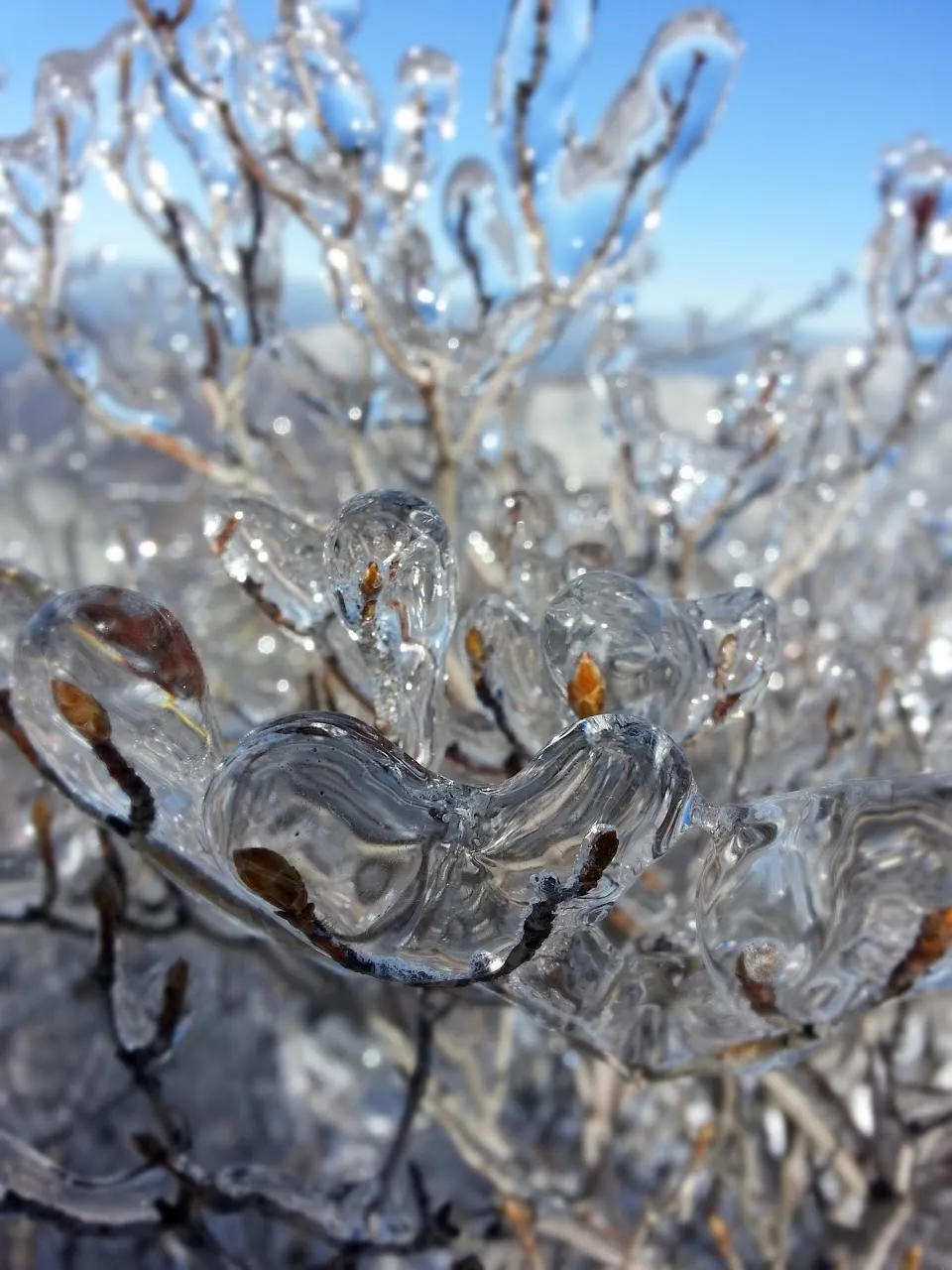 울주군 가지산 20160201