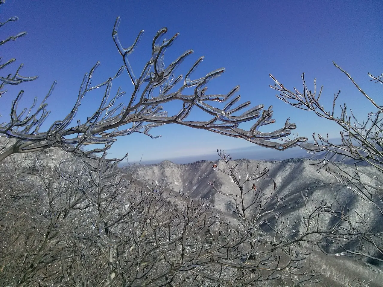 울주군 가지산 20160201