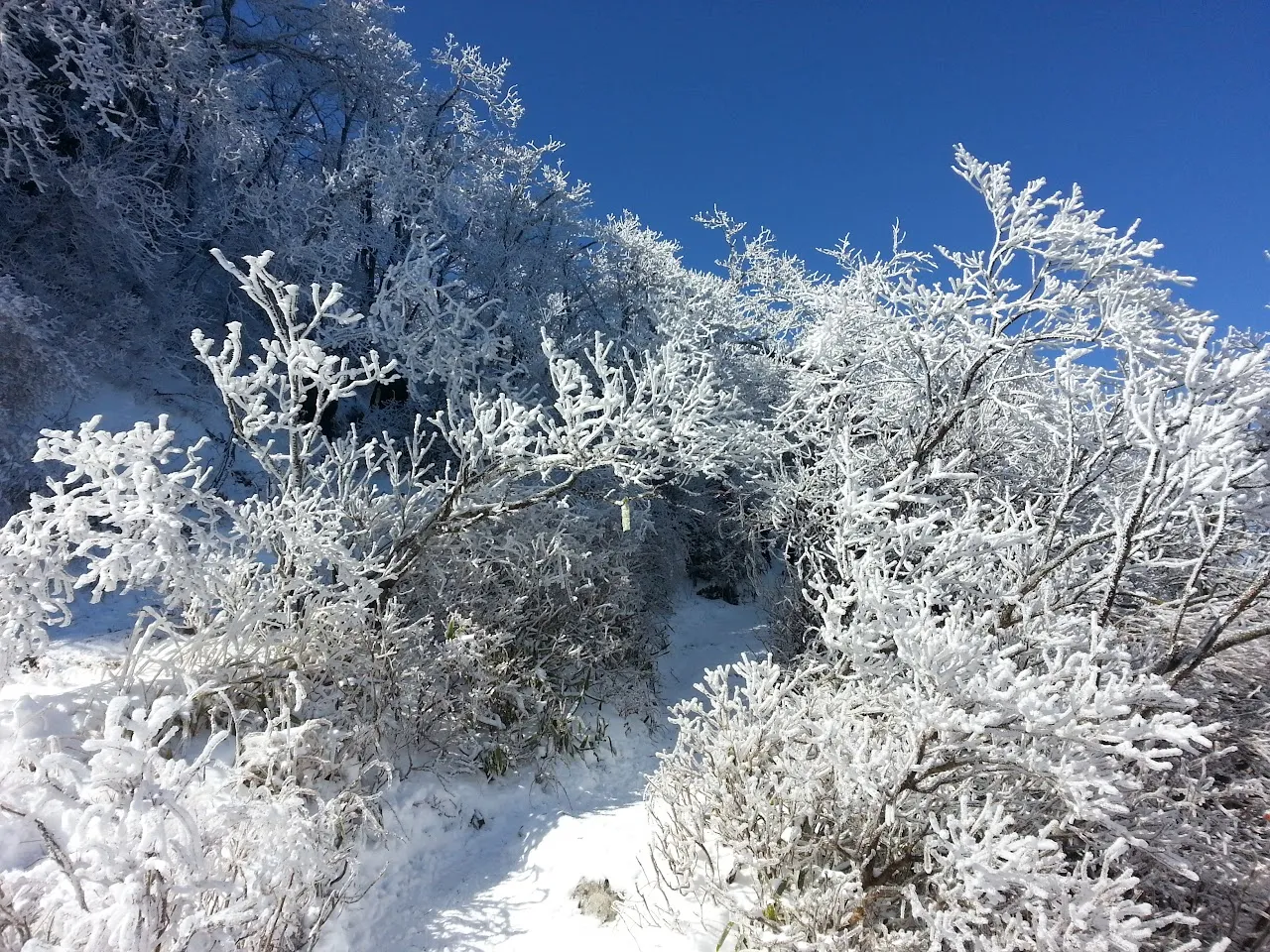 울주군 가지산 20160201