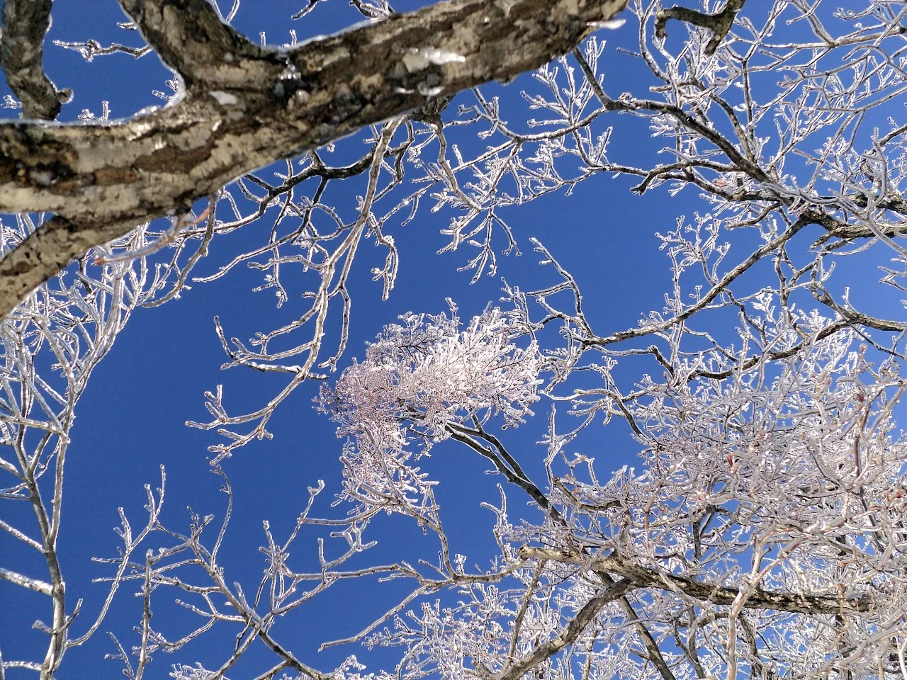 울주군 가지산 20160201