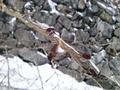 가지산 석남사코스 사용자 사진 2
