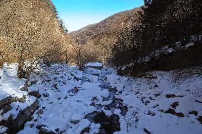 태백산 당골코스 사용자 사진 3
