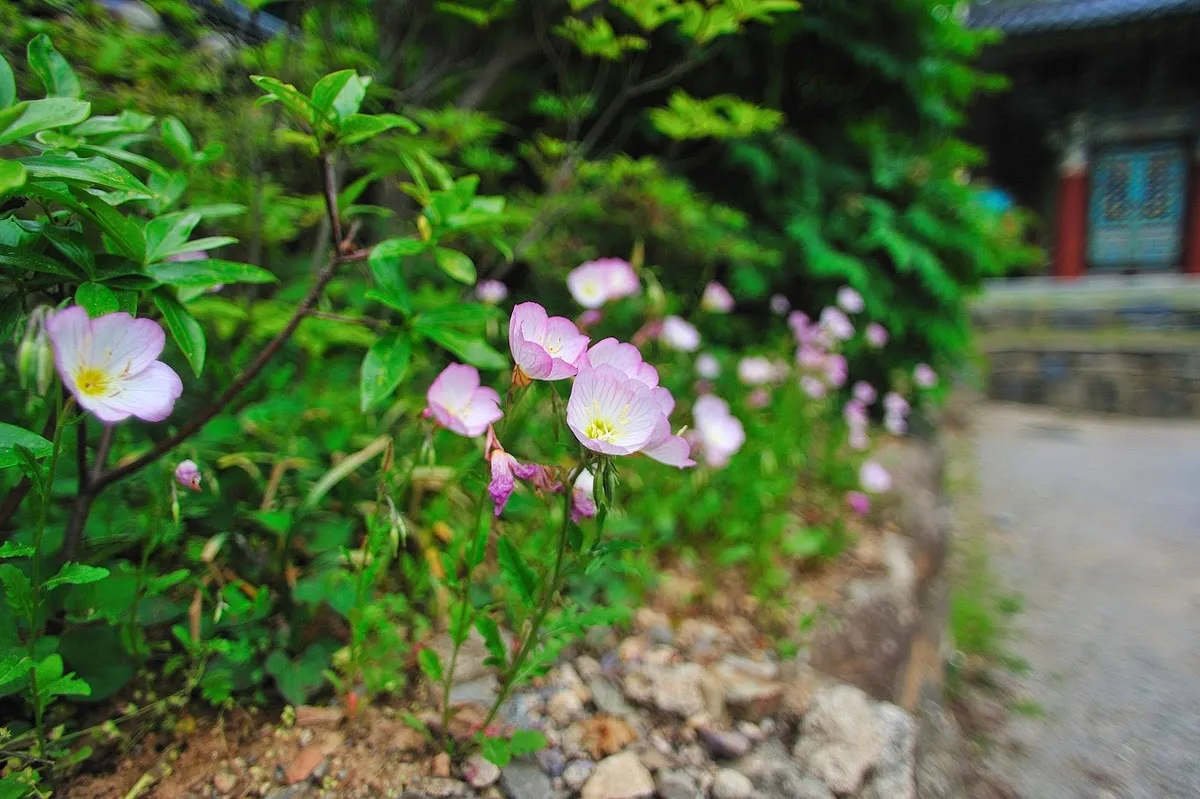 무등산