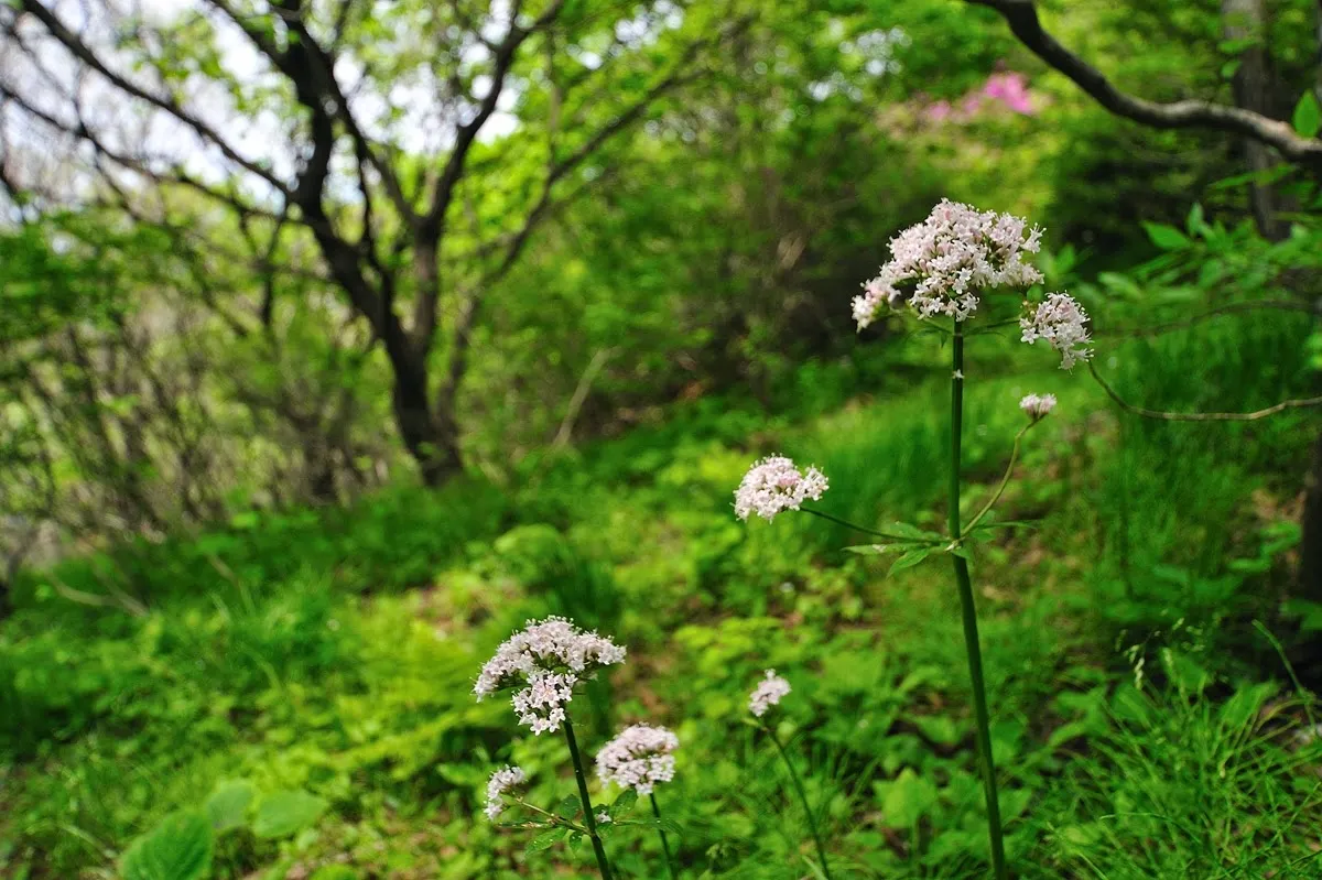 무등산