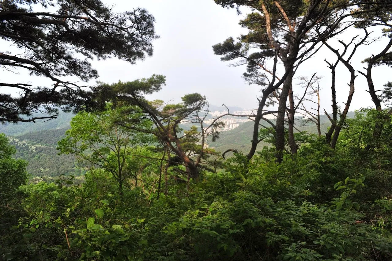 무등산