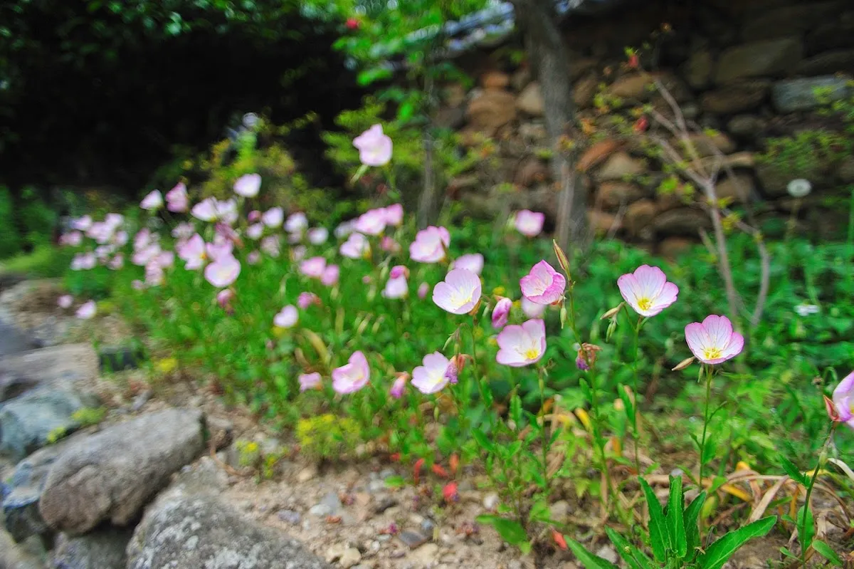 무등산