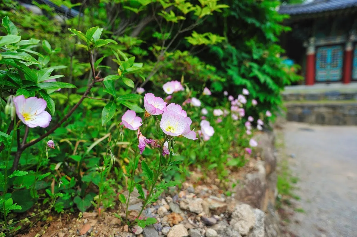 무등산