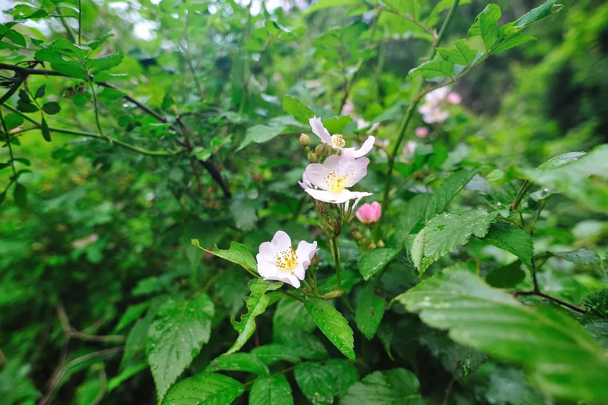 무등산