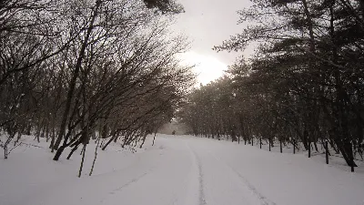 한라산 어리목코스 사용자 사진 2