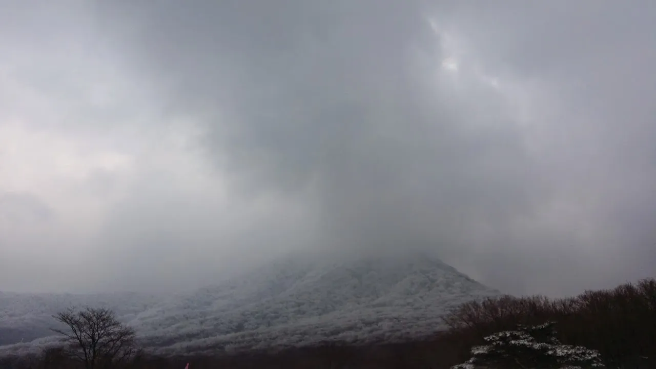 한라산 눈꽃 트레일