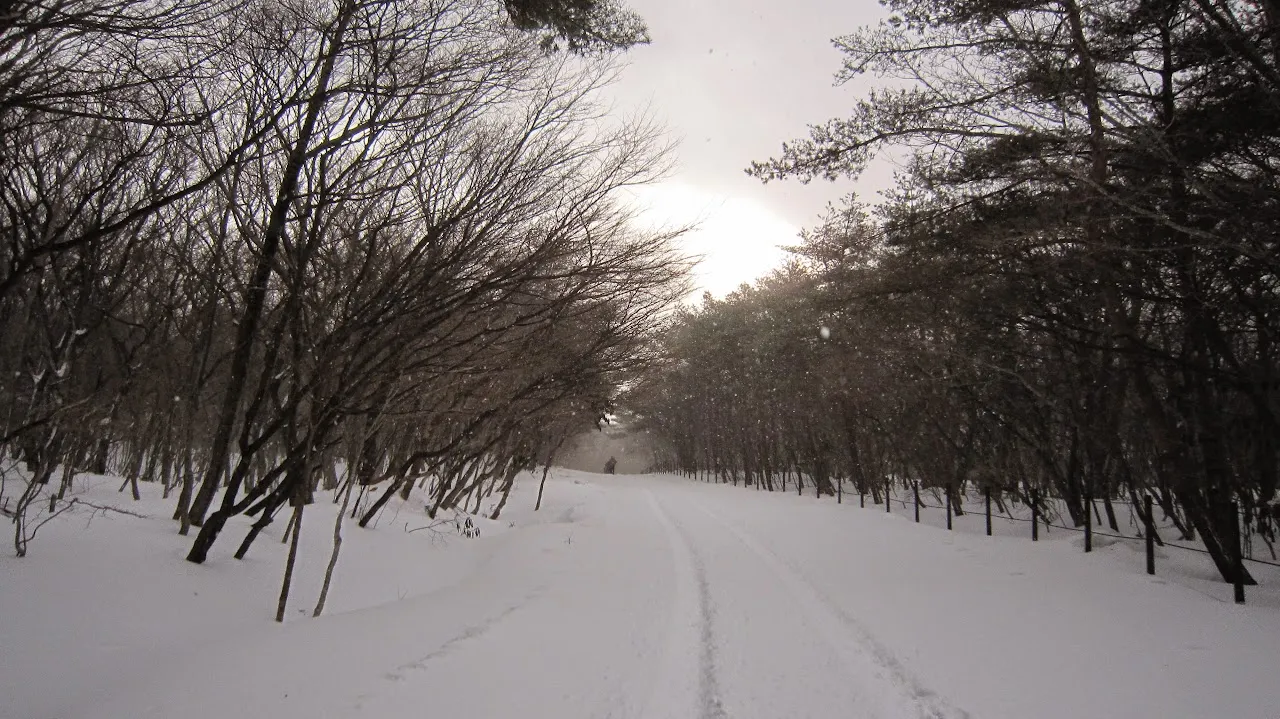 한라산 눈꽃 트레일
