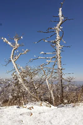 덕유산 향적봉 2코스(구천동) 사용자 사진 2