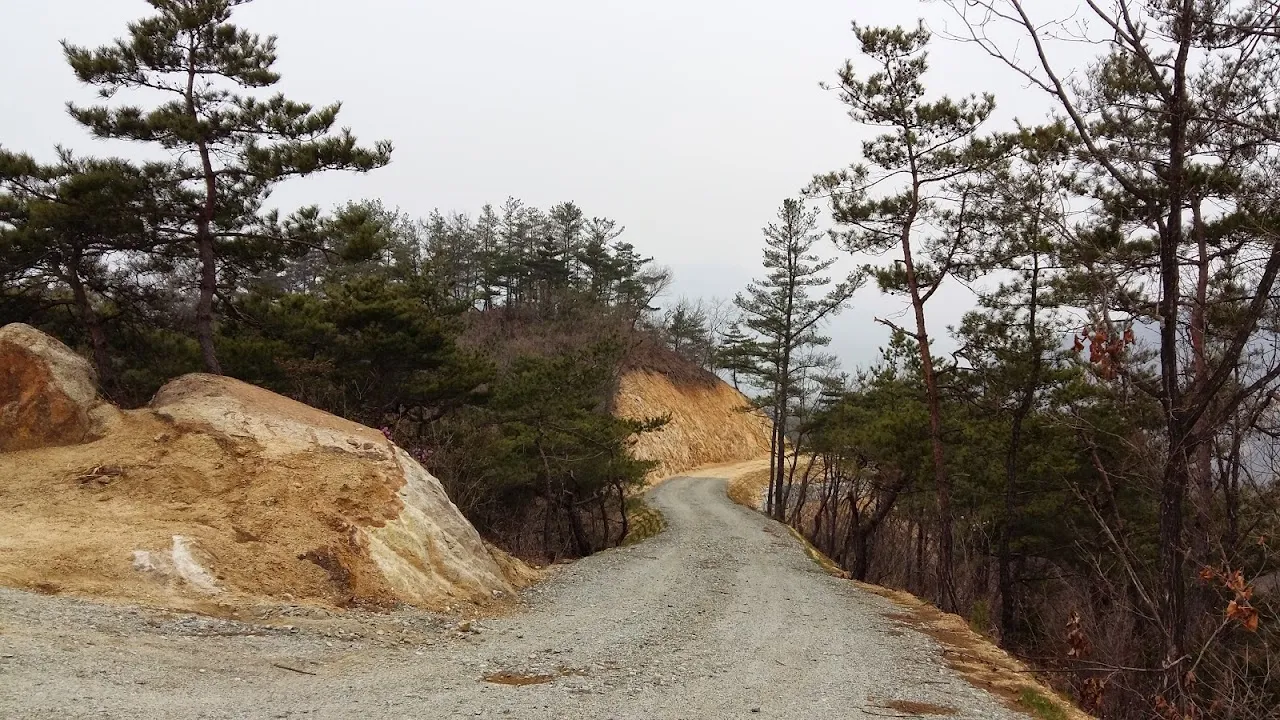 20150331 충주호 둘레길(서운리임도)