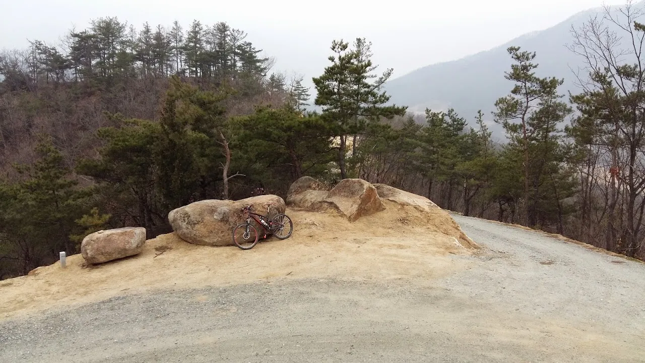 20150331 충주호 둘레길(서운리임도)