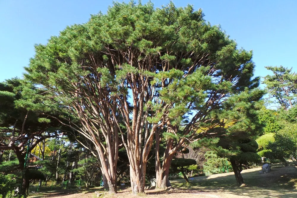 고흥 거금도 적대봉 그리고 역사탐방