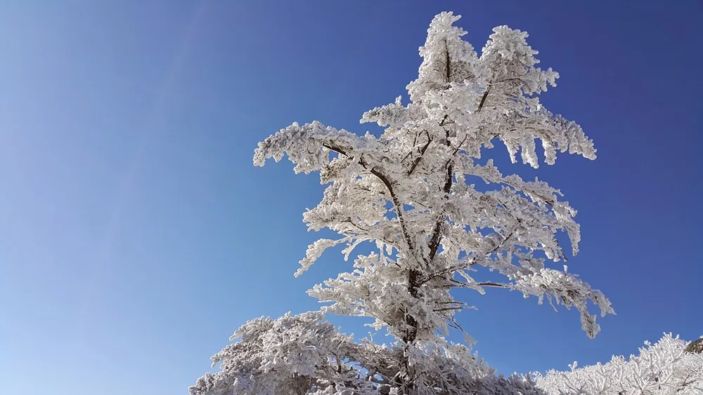 무주 덕유산