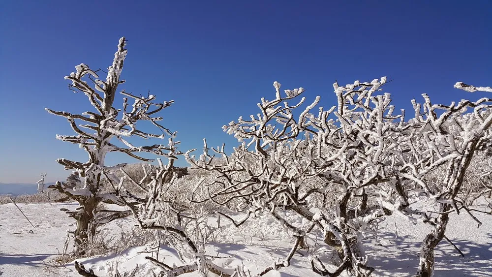 무주 덕유산