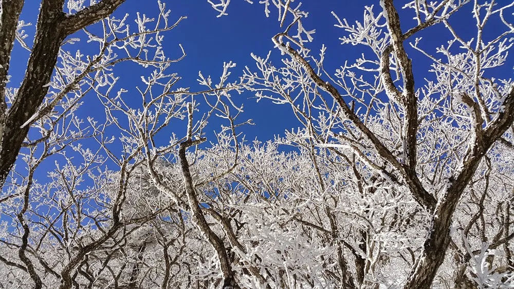무주 덕유산