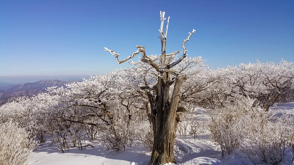 무주 덕유산