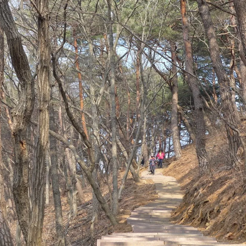 칠갑산( 충남 청양)
