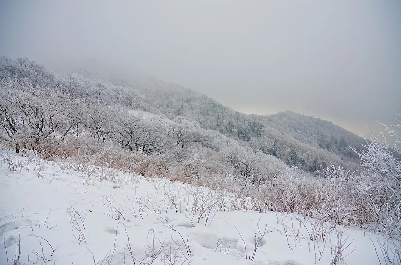 평창 계방산