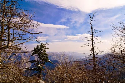 오대산 비로봉코스 사용자 사진 4