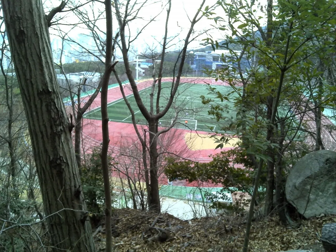 부산외대_금강공원 둘레길