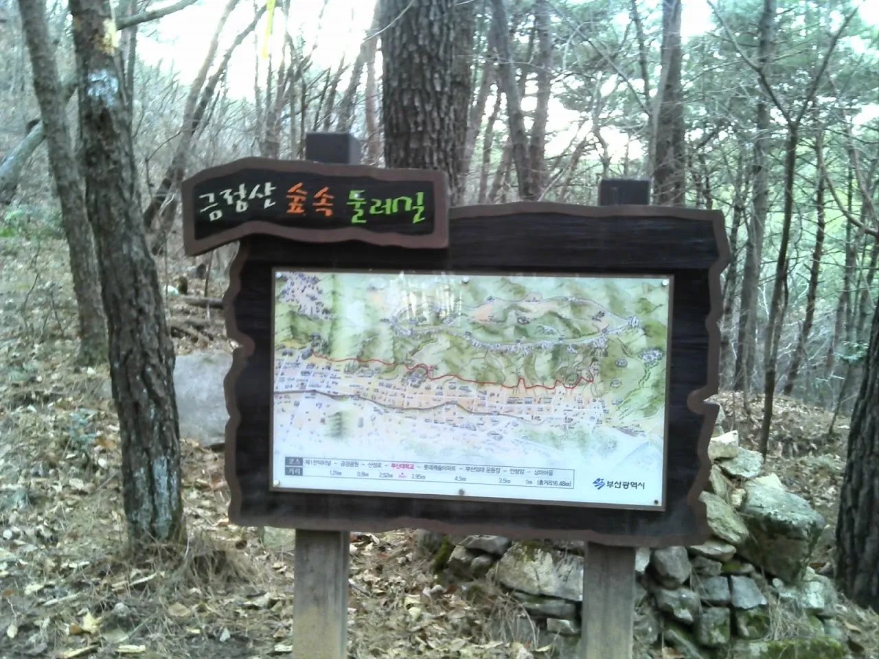 부산외대_금강공원 둘레길