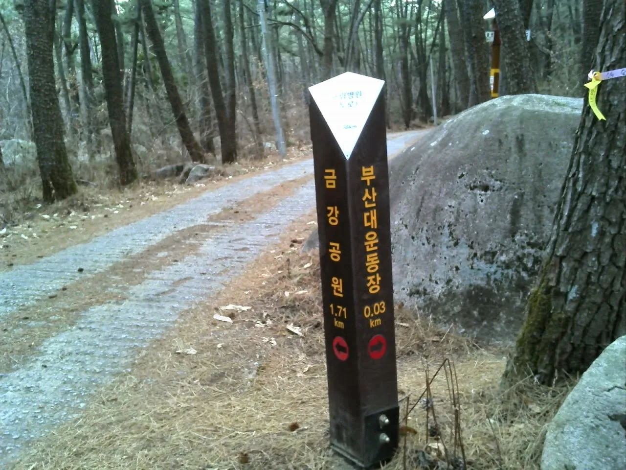 부산외대_금강공원 둘레길