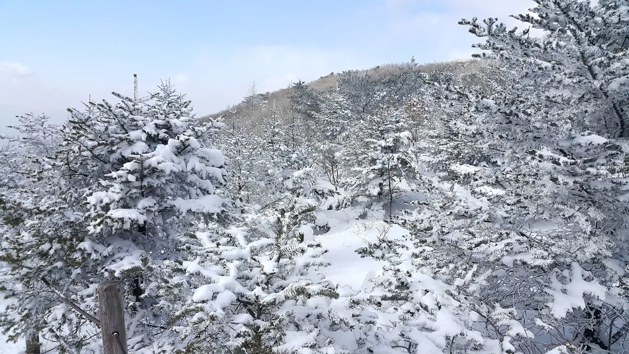 소백산(2017년 01월 22일)