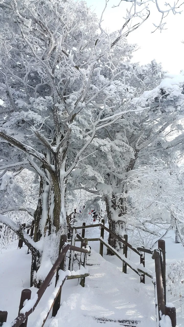 소백산(2017년 01월 22일)