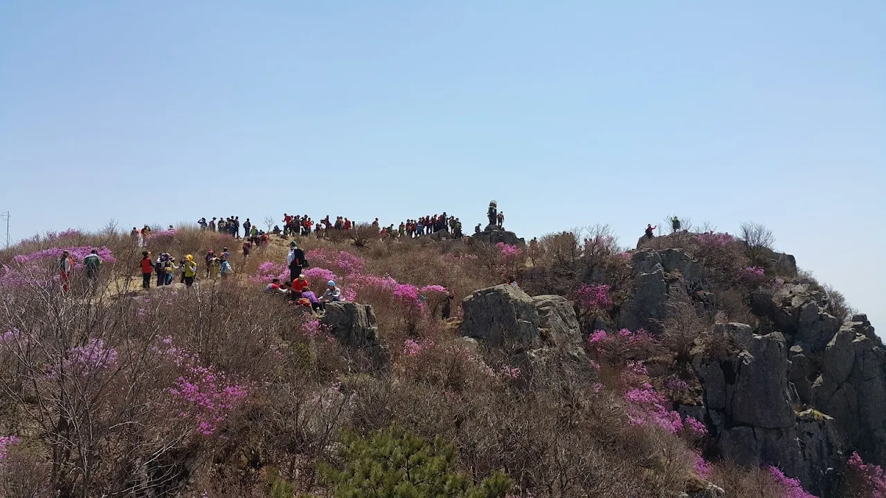 비슬산