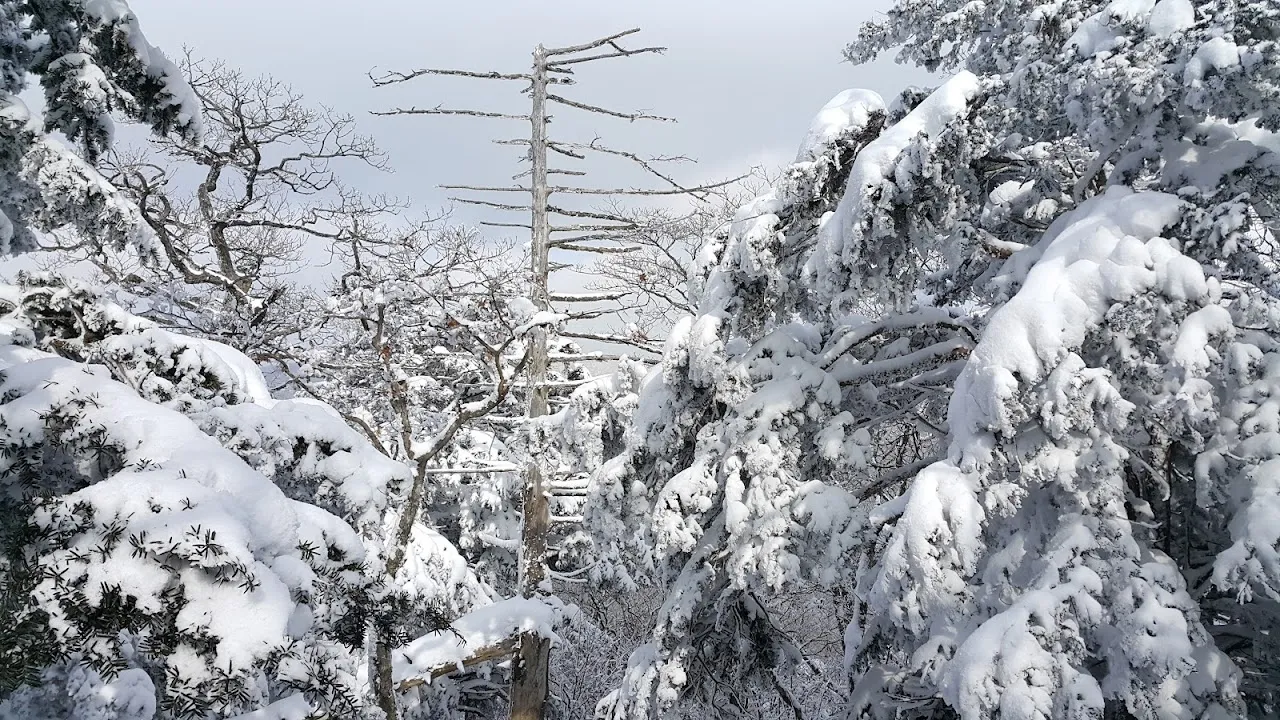 소백산(2017년 01월 22일)