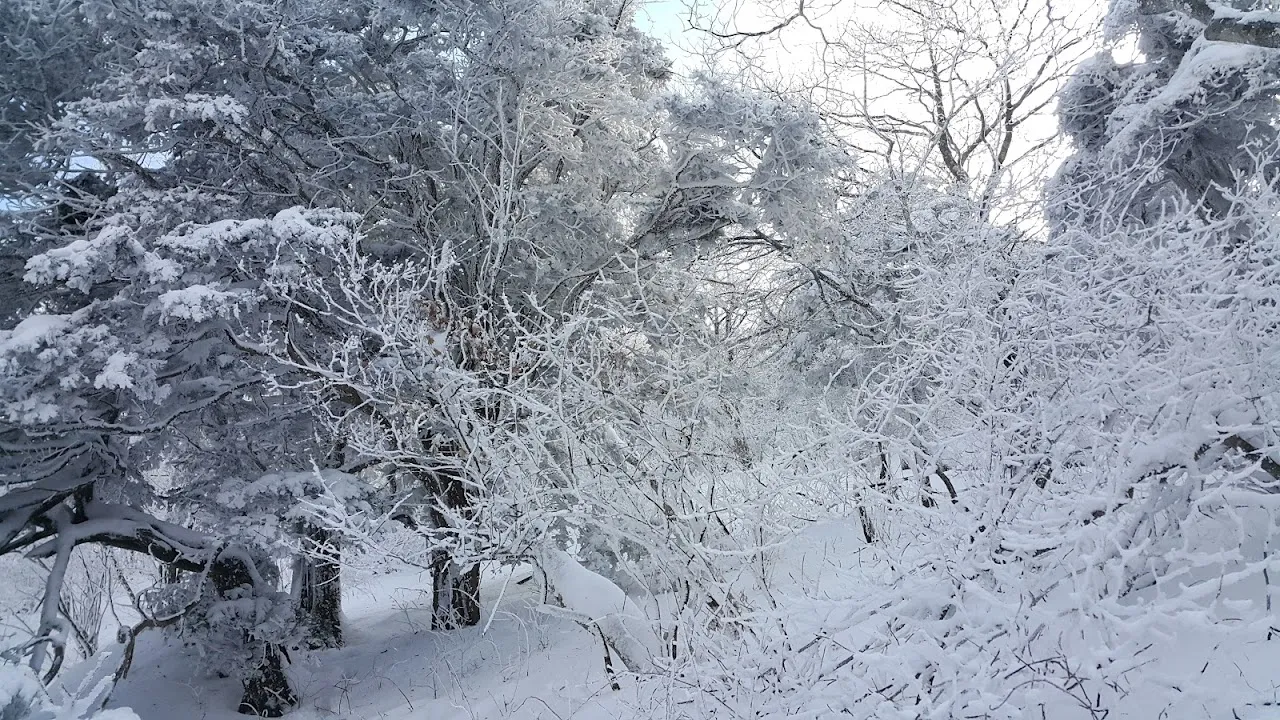소백산(2017년 01월 22일)